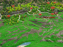 上海漫纬科技携手郑州瑞茂通供应链打造产业生态沙盘